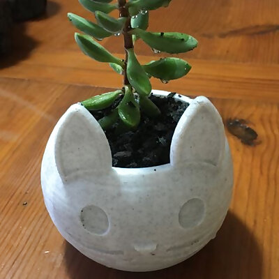 Cat face Flower vase