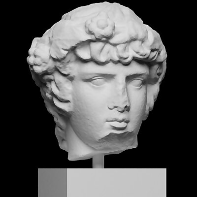 Marble Portrait Head of Antinous