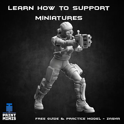FREE Supporting Guide and Practice Model!
