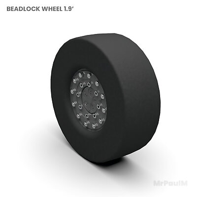 Beadlock wheel 19