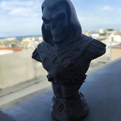 Skeletor Bust