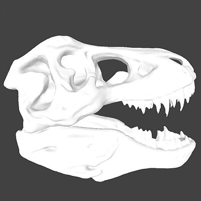 Tyrannosaurus skull（by Revopoint POP 2）