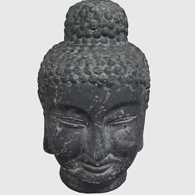 Buddha head（scanned with Revopoint POP 2）