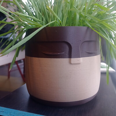 flower pot with a face