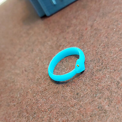 Ouroboros  Snake Ring