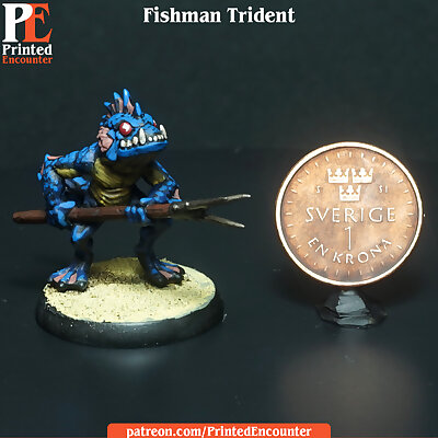Fishman Trident