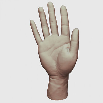 Hand Model（scanned by Revopoint MINI）