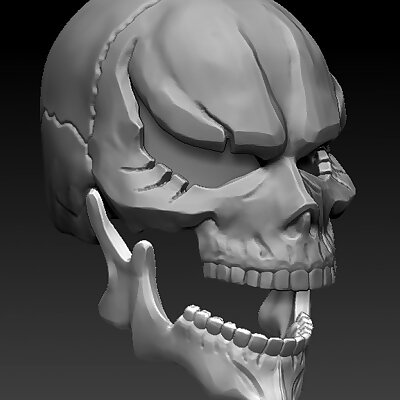 Cráneo de Momonga