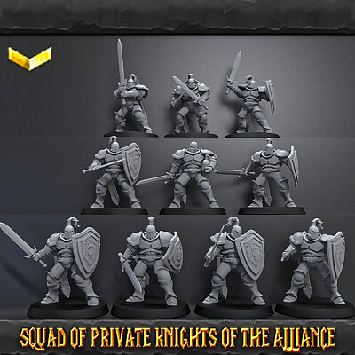 SQUAD OF PRIVATE KNIGHTS OF THE ALLIANCE