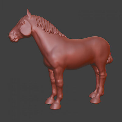 Percheron draft horse