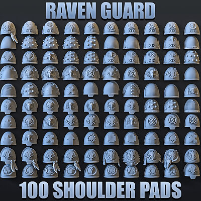 100 SHOULDER PADS RAVEN GUARD