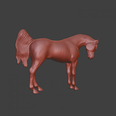 Arabian thoroughbred war horse