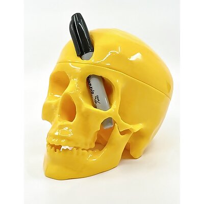 Phineas Gage Skull