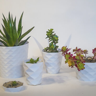 Parametric flower pots