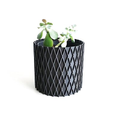 Flower Pot  Vase