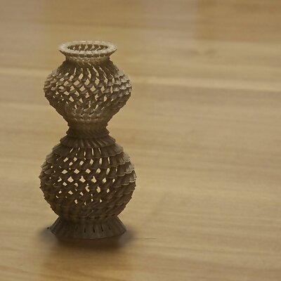 Spiral Growth  Vase