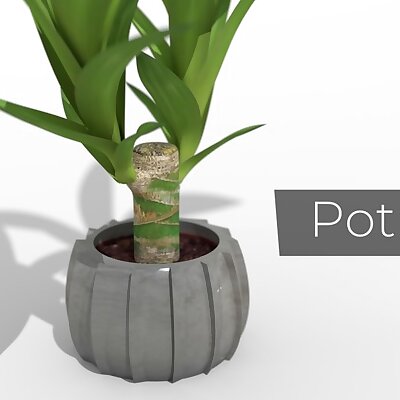 Pot12