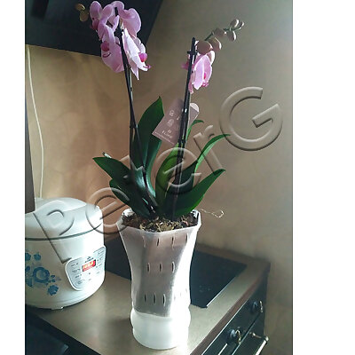 Big Orchid Pot for our loved woman