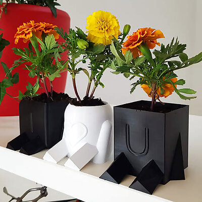Planty Potter vase mode for Mothers Day
