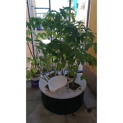 DIY Hydroponic System with can