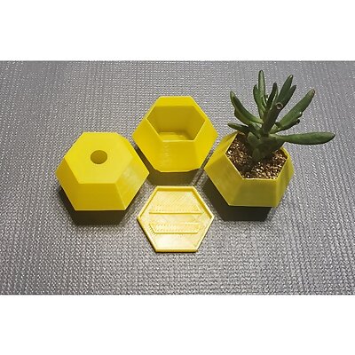 Vase mode hexagon planter with base