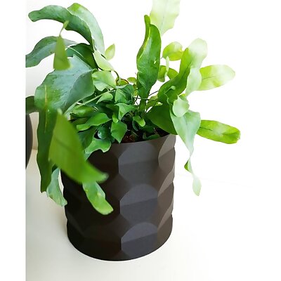 Flower Pot  Vase