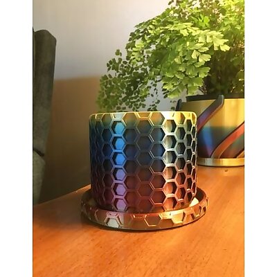 Honeycomb Planter with Plate