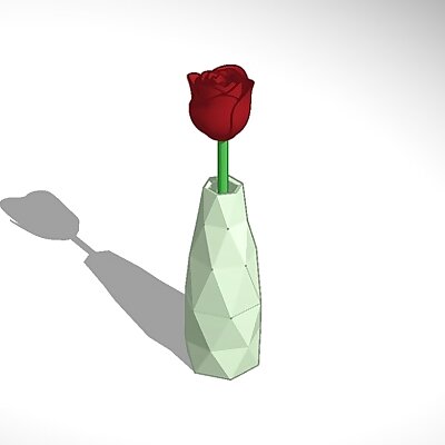 rose in a vase