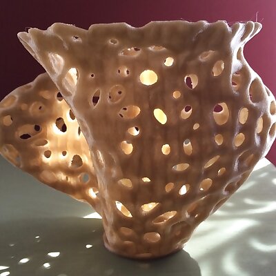 Voronoi Spline Twist Vase