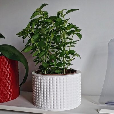 Vase Pot Planter Cachepot 2