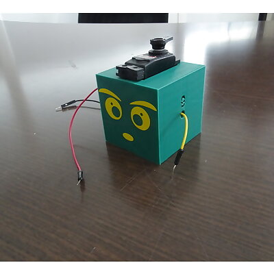 Arduino Servomotor Box