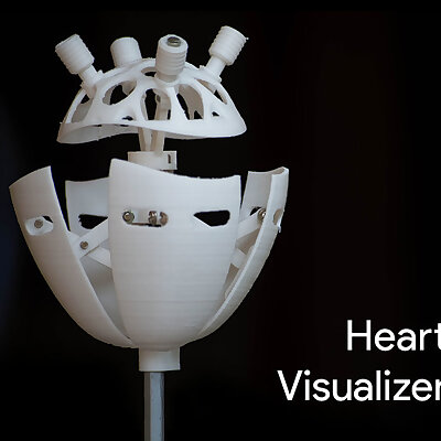 Heart Visualizer  See your heart beat