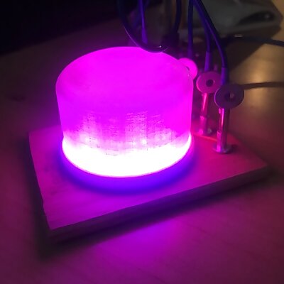 24 Neopixel Ring Diffuser Dome