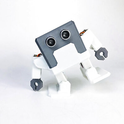 Otto DIY Humanoid robot alike