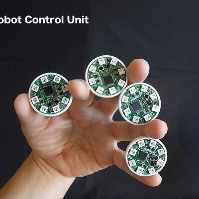 Robot Control Unit
