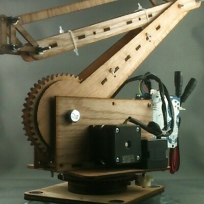 Palletizing Robot Arm 3DOF 50cm reach 125g lift