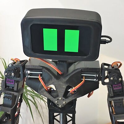 Aster Humanoid Robot