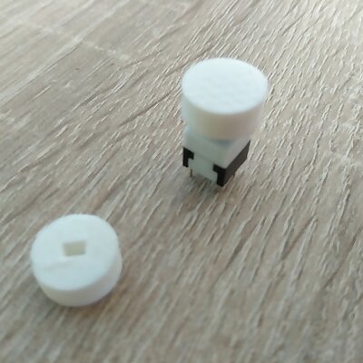 6 pin switch button cap