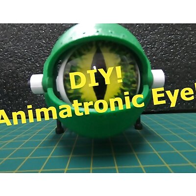 Animatronic Eye