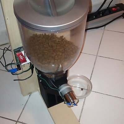 Automated Cat Feeder