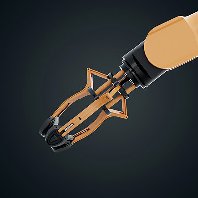 Robotic Gripper