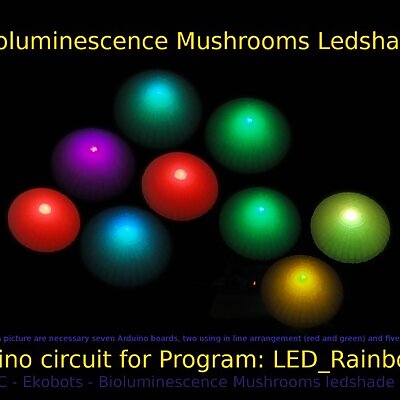 Ekobots  Bioluminescence Mushrooms Ledshade