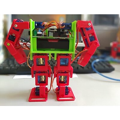 12 dof biped robot