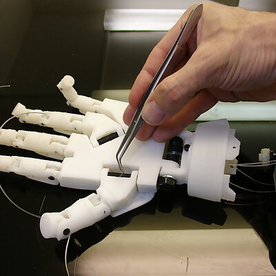 Inmoov Robot Rotation Wrist