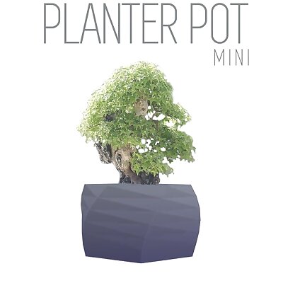 Parametric Plant Pot  10cm super thin walls