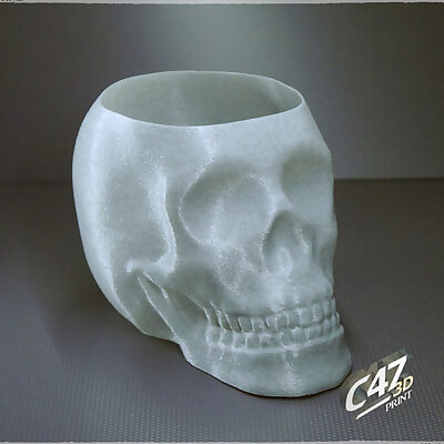 Skull Vase  Bowl