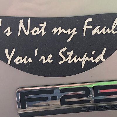 Its not my fault youre stupid signbumper stick
