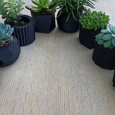 Succulent Plant Pots