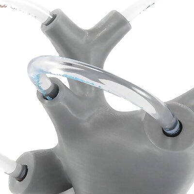 FluidFilled Vestibular Apparatus for Vertigo Education