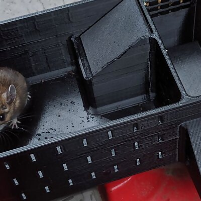 Multi catch mouse live trap